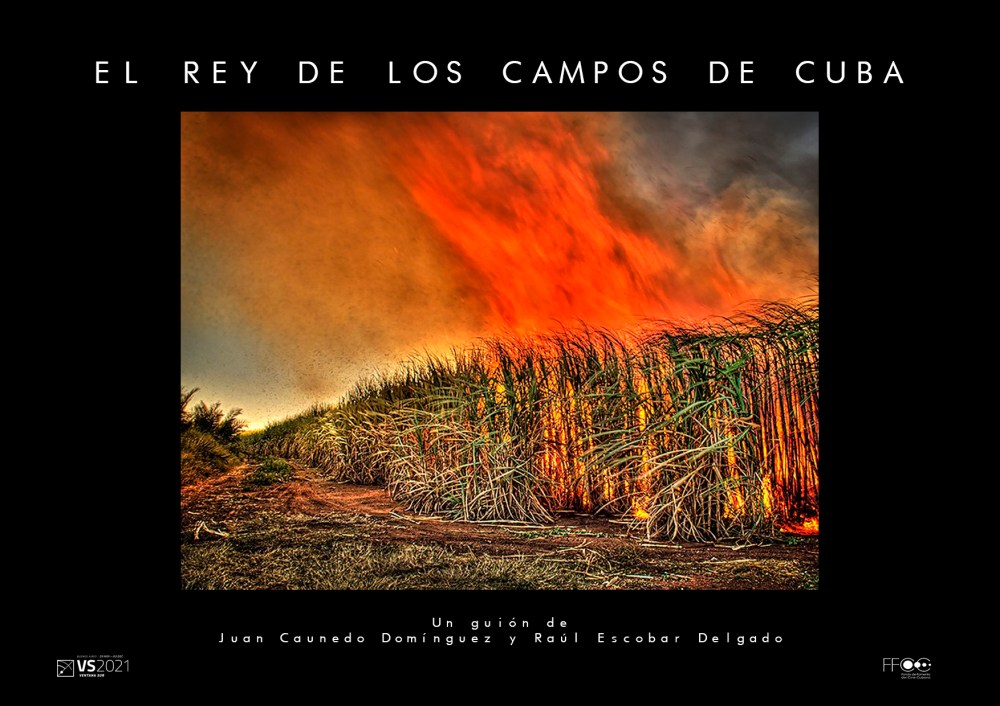 ElReyDeLosCamposdeCuba2