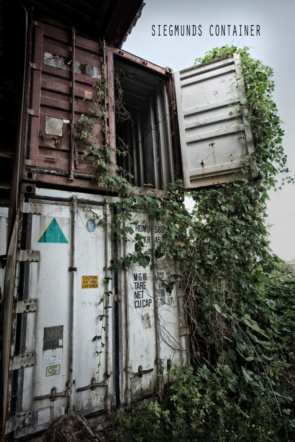 SiegmundsContainerbaja C.jpg